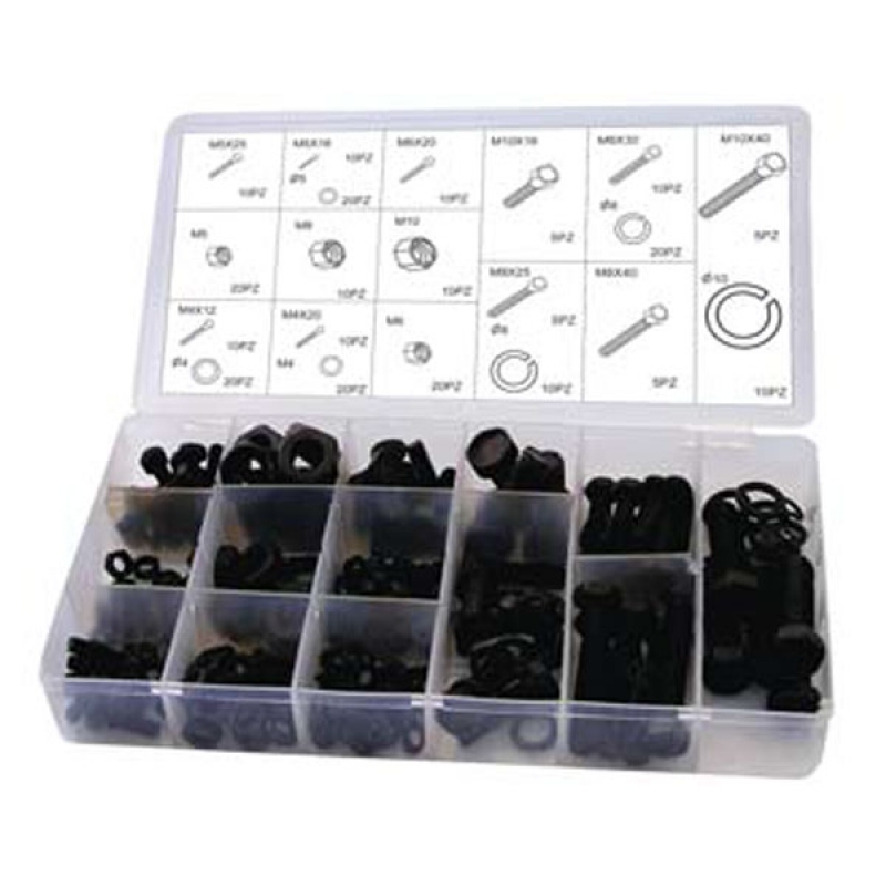 Assortimento 240 viti dadi e rondelle Cilli