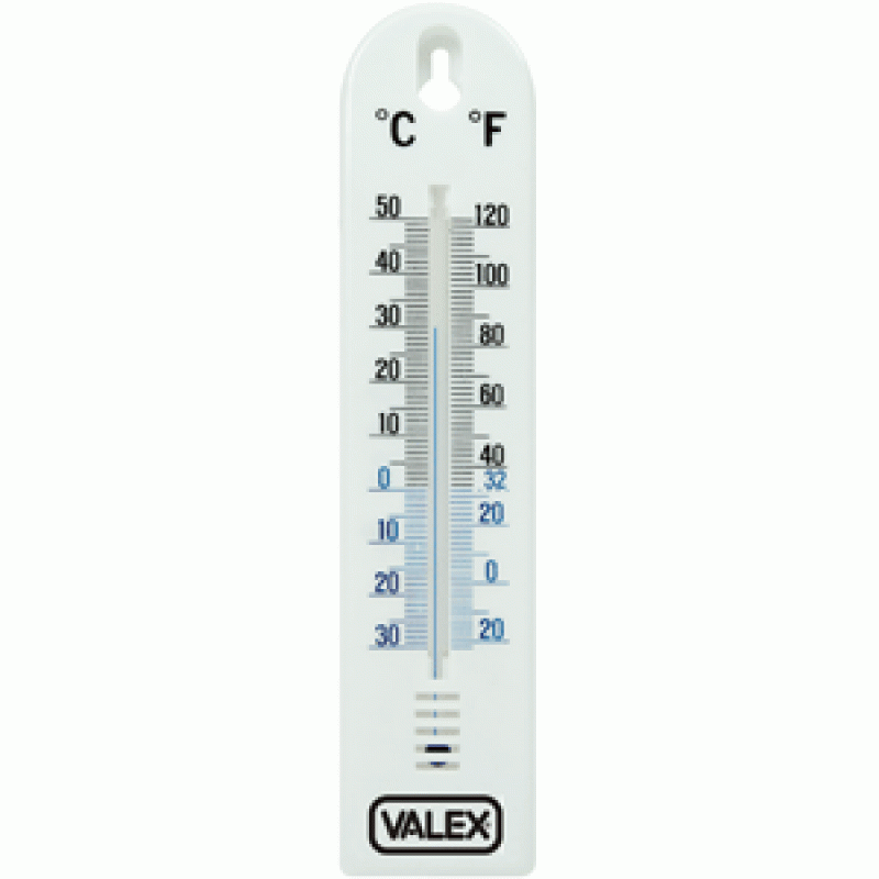 Termometro in plastica Valex 1870021