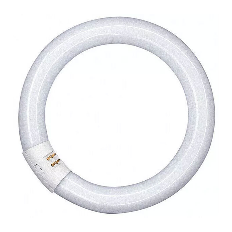 Neon fluorescente circolare 40w luce fredda G10q Leuci