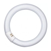 Neon fluorescente circolare 32w luce fredda G10q Imperia
